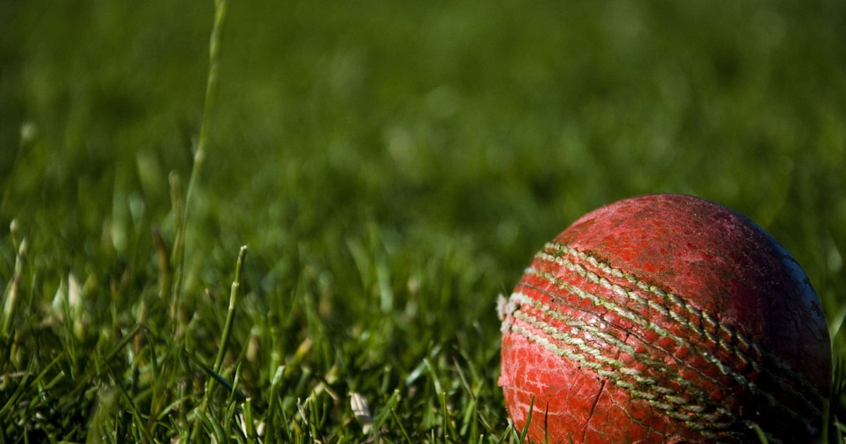 A weathered red cricket ball resting on green grass in close-up, showing the seam and worn leather in fine detail.